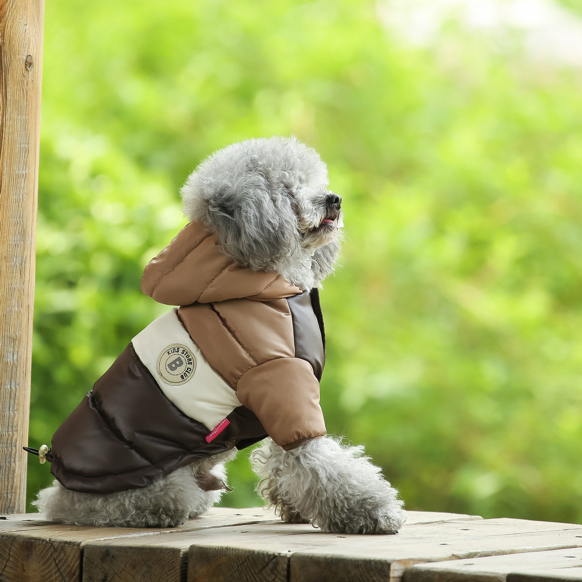 Haustierweste, Heimtierbedarf, – Winter Clothing Options Bewertung und Preis